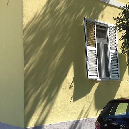 Apartment Jazine Zadar Exterior photo